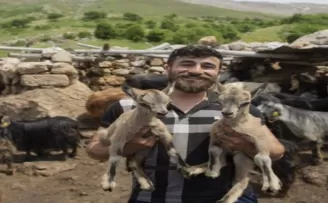 Öksüz kalan yaban keçileri “Munzur“ ve “Dersim“den güzel haber
