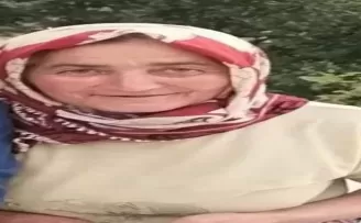 Öküzün çiftesi öldürdü
