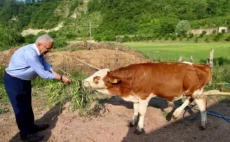 Ordu Büyükşehir besicilerin yüzünü güldürdü