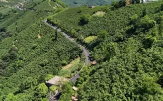 Ordu’da 3,5 kilometrelik asfalt tamamlandı