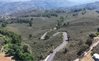 Ordu’da Ulubey Şeyhler’de yol sevinci