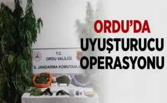Ordu’da Uyuşturucu Operasyonu!