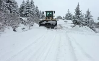 Ordu kara teslim oldu