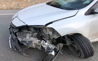 Otomobilin çarptığı yavru ayı telef oldu
