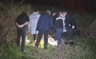 Boş arazide çok sayıda kemik ve kafatası bulundu
