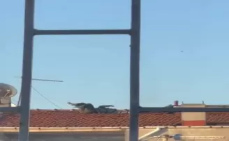(ÖZEL) Çatıda tehlikeli yoga keyfi kamerada
