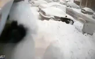 (Özel) İstanbul’da pitbull dehşeti
