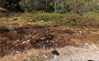  Kağıthane’de yeşil alanı yakan şahıs, kaza yapınca yakaladı