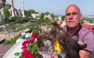 Kargaların saldırdığı şahin otele sığındı