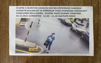 (ÖZEL) Sarıyer’de köpek hırsızlığı kamerada

