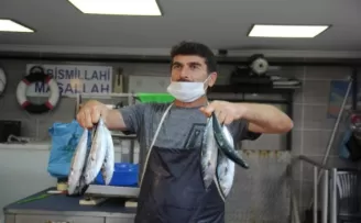 Palamut 10 liradan tezgahtaki yerini aldı
