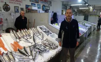 Palamut fiyatıyla cep yakıyor
