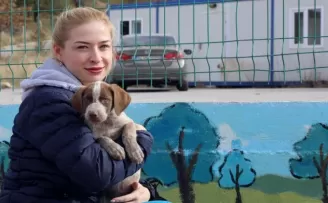 Pandemi döneminde birçok hayvan yuvasız kaldı

