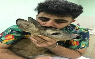 Parçalanan arka bacağı kesilerek hayatı kurtarıldı
