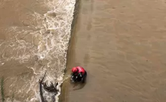 Rize’de dereden köpek kurtarma operasyonu