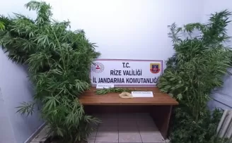 Rize’de iş yerine uyuşturucu baskını
