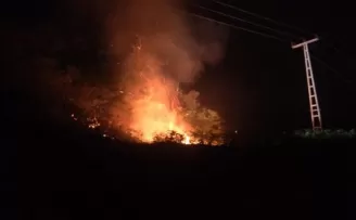 Rize’de orman yangını
