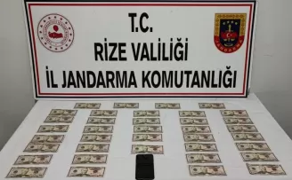 Rize’de ’sahte dolar’ operasyonu: 1 gözaltı