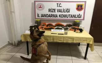 Rize’de uyuşturucu operasyonu: 2 kişi gözaltına alındı
