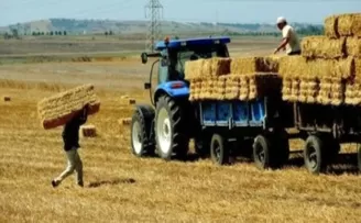 Tarım-GFE aylık yüzde 1,10 yükseldi