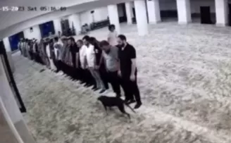 Sabah namazı vaktinde camiye giren köpek ile cemaatin imtihanı kamerada
