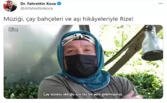 Bakan Koca, Rize’de çay bahçesinde aşılama işlemini paylaştı