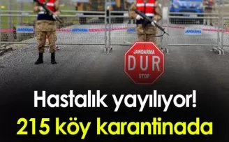 Şap Hastalığı yayılıyor! Zonguldak’ta 215 köy karantinada