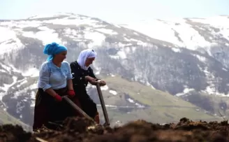 Karadeniz kadınının takdire şayan mücadelesi! 