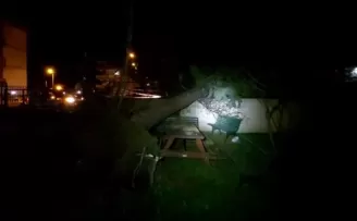 Silivri’de fırtına ağacı kökünden söktü
