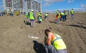 Sincan Belediyesi’nden fidan dikim şenliği
