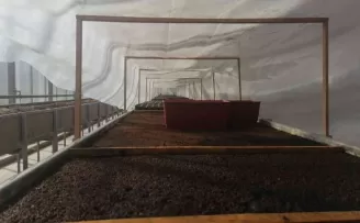 Sincan Belediyesi seralarıyla bahar güzelliği yaşatıyor
