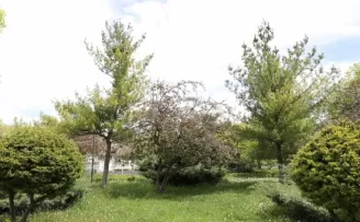 Sincan’da parklar ve sokaklar 20 yaş altı için hazır

