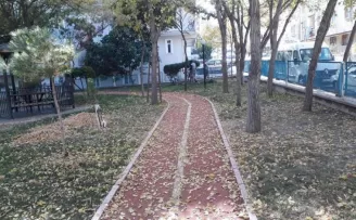 Sincan sonbaharda da ışıl ışıl
