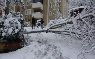Site kapısına devrilen ağaç site sakinlerini mahsur bıraktı
