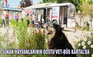 Sokak hayvanlarının dostu VET-BÜS Kartal’da
