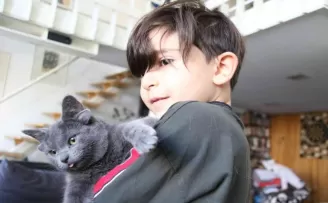Sosyal medya fenomeni dört kulaklı kedi “Midas”ın başı sahte hesaplarla dertte
