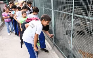 Sporcu çocuklar hayvanlarla buluştu
