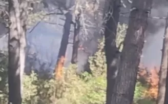 Sultangazi’de bulunan kent ormanında yangın
