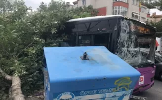Sürücüsünün fenalaştığı yolcu otobüsü önce konteynıra ardından ağaca çarptı
