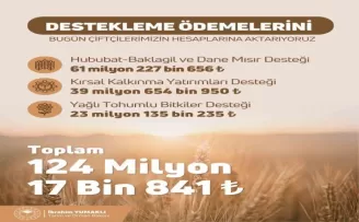 Tarımsal destekleme ödemeleri bugün çiftçilerin hesaplarına yatıyor
