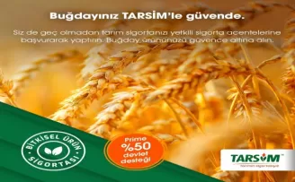 TARSİM: “Buğday ürününüz güvende”
