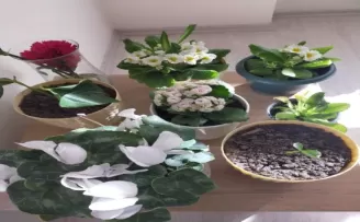 TDV öğrencilerinden “Evde Kal” etkinliği
