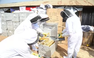 TİKA’dan Güney Sudanlı çiftçilere destek
