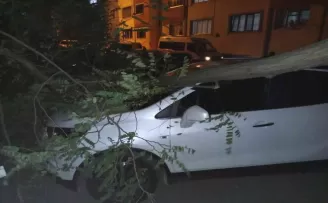 Trabzon’da şiddetli rüzgar etkili oldu
