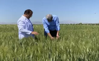 Türk yerli tohumu dünyaya açılıyor