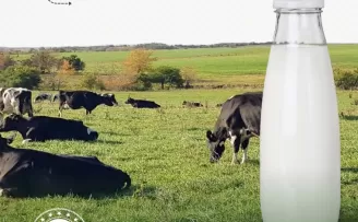 Türkiye çiğ süt üretiminde dünyada ilk 10’da