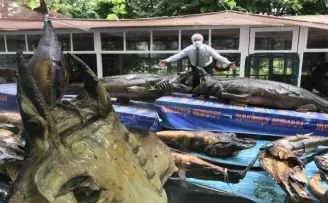 Türkiye Deniz Canlıları Müzesi’nde mumyalanmış balıklara bakım yapıldı
