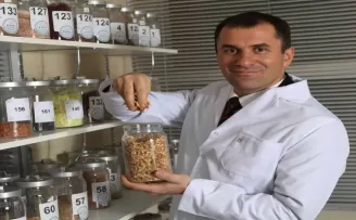 Türkiye saç ekiminde ön plana çıkarken, bitkisel markalar da tercih ediliyor
