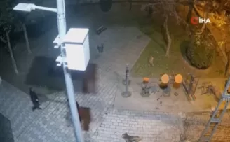 Ümraniye’de köpeklere ateş eden sanık bu kez de avukat tehdit etti
