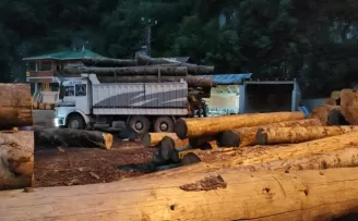Üzerine tomruk düşen kamyon şoförü hayatını kaybetti

